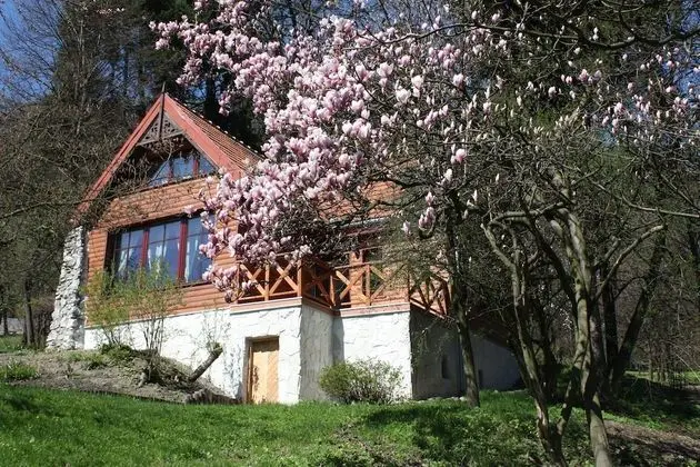 Romantic Dağ Evi, 1 Yatak Odası, Bahçe Manzaralı (DOMEK)