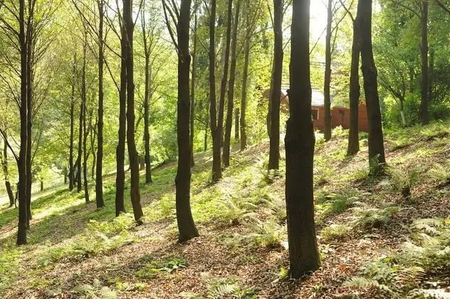 Romantic Dağ Evi, 1 Yatak Odası, Bahçe Manzaralı (DOMEK)