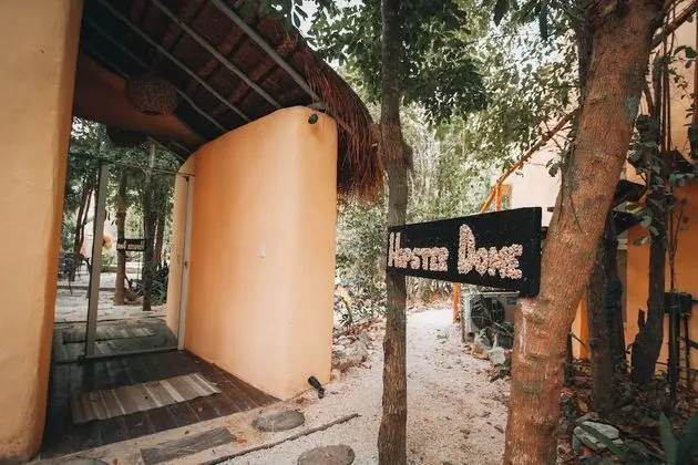 HIPPIE DOME