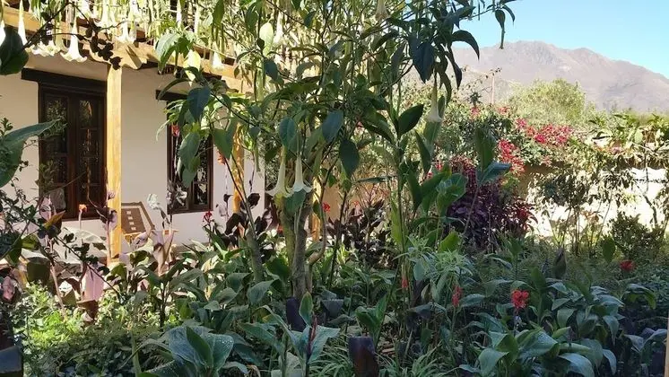 Superior Oda, Bahçe Manzaralı, Bahçeli