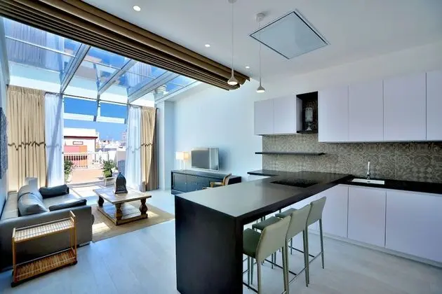 Çatı Katı Süiti (Penthouse)