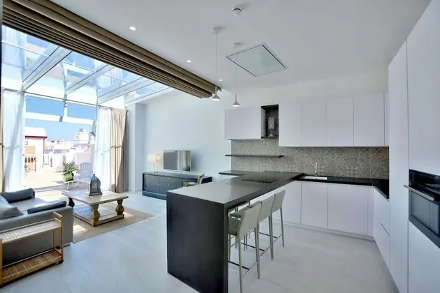 Çatı Katı Süiti (Penthouse)