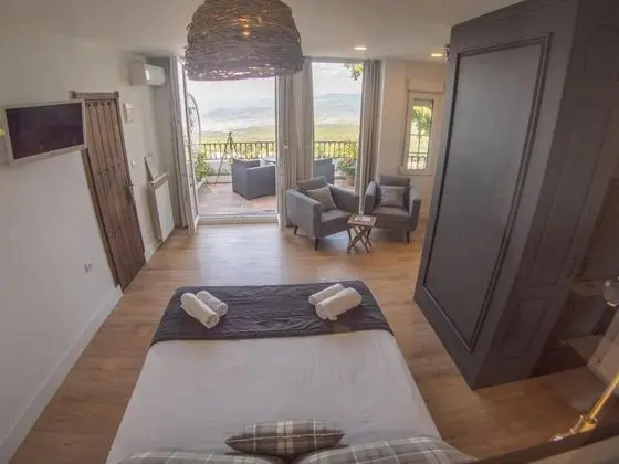 Premium Tek Büyük Yataklı Oda, 1 En Büyük (King) Boy Yatak, Şehir Manzaralı