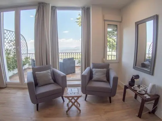 Premium Tek Büyük Yataklı Oda, 1 En Büyük (King) Boy Yatak, Şehir Manzaralı