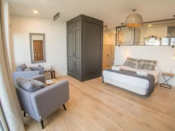 Premium Tek Büyük Yataklı Oda, 1 En Büyük (King) Boy Yatak, Şehir Manzaralı