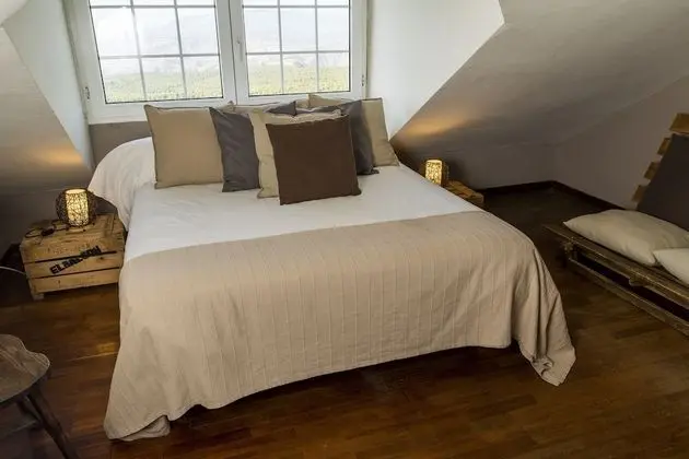 Superior Tek Büyük Yataklı Oda, Şehir Manzaralı