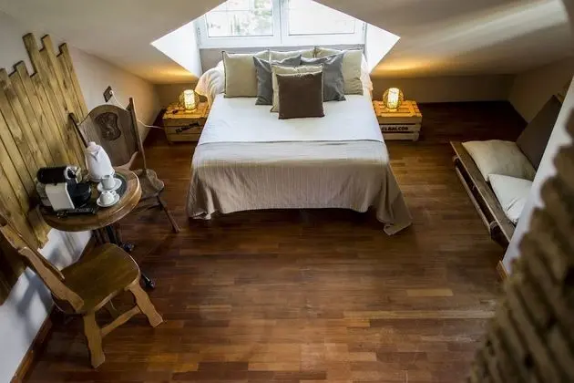 Superior Tek Büyük Yataklı Oda, Şehir Manzaralı