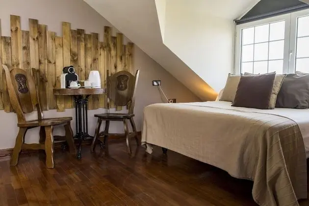 Superior Tek Büyük Yataklı Oda, Şehir Manzaralı