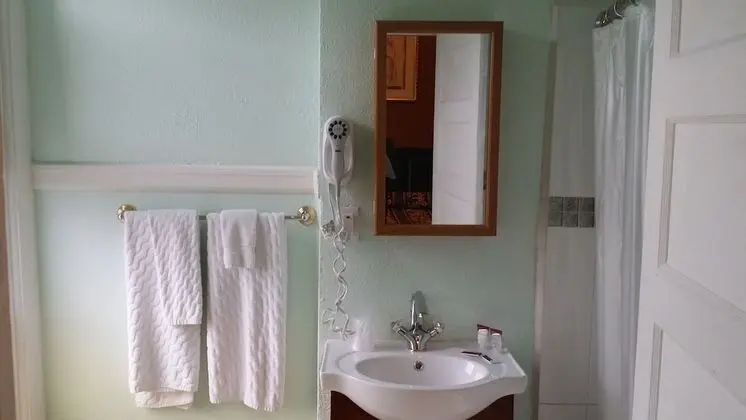Deluxe Oda, 1 Büyük (Queen) Boy Yatak, Özel Banyo