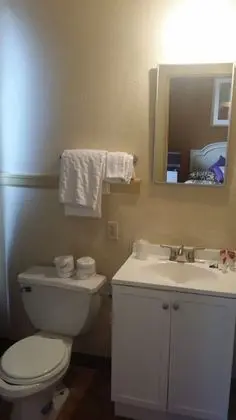 Deluxe Oda, 2 Çift Kişilik Yatak, Özel Banyo