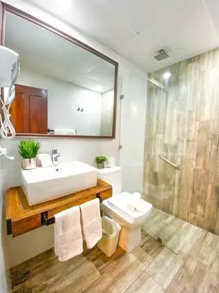 Deluxe Tek Büyük Yataklı Oda, 1 En Büyük (King) Boy Yatak