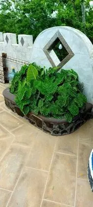 Basic Üç Kişilik Oda