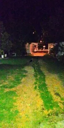 Ev, 2 Yatak Odası, Engellilere Uygun