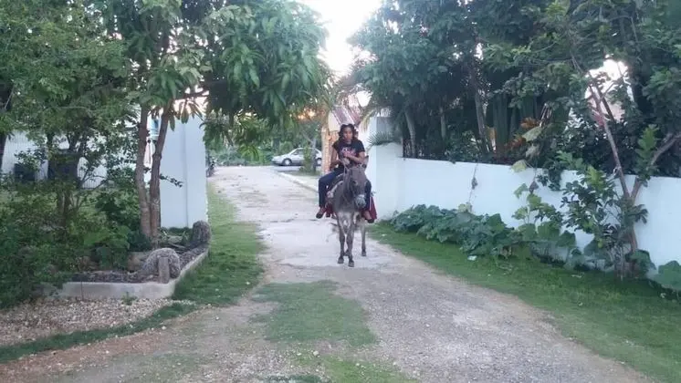 Ev, 2 Yatak Odası, Engellilere Uygun
