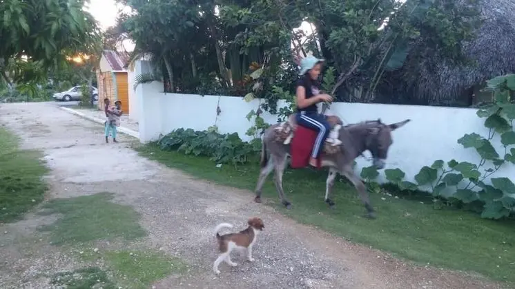 Ev, 2 Yatak Odası, Engellilere Uygun