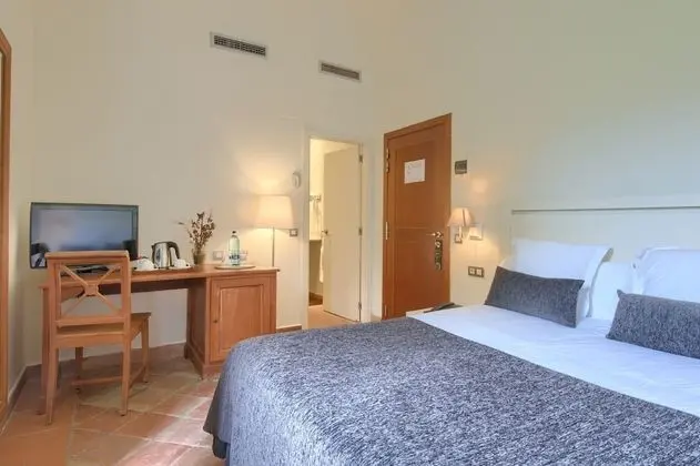 Standard Tek Büyük Yataklı Oda (1 or 2 beds)