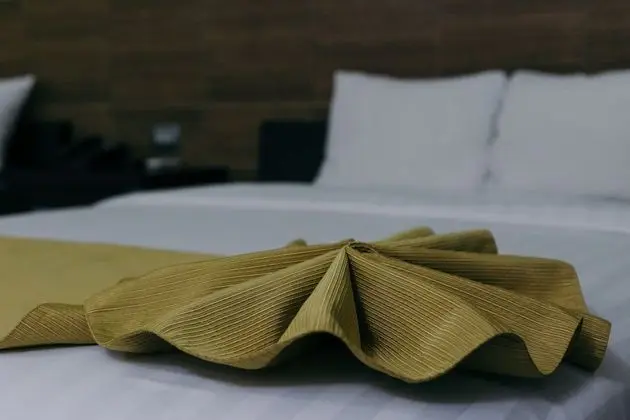 Deluxe Oda, 2 Çift Kişilik Yatak