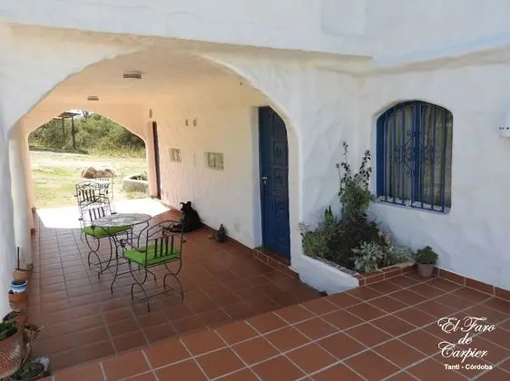 Standard Stüdyo, 1 Yatak Odası