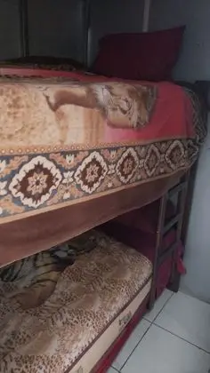 Basic İki Ayrı Yataklı Oda