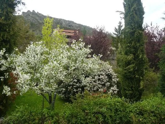 Standard Tek Büyük veya İki Ayrı Yataklı Oda, Banyolu/Duşlu, Dağ Manzaralı