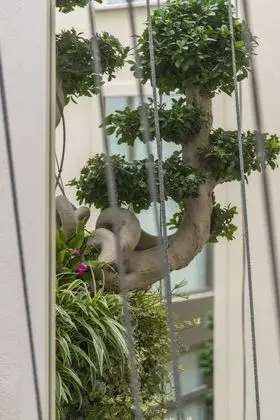 Standard Tek Büyük Yataklı Oda, Avlu Manzaralı