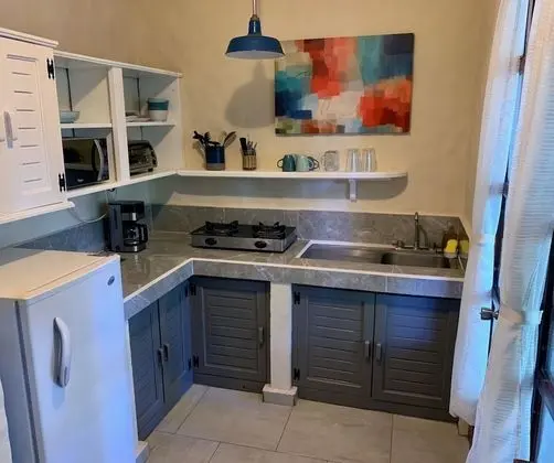 Superior Villa, 1 En Büyük (King) Boy Yatak, Mutfak, Havuz Manzaralı