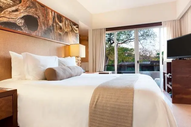 Junior Süit, 1 En Büyük (King) Boy Yatak ve Çekyat, Sigara İçilmez, Resort Manzaralı