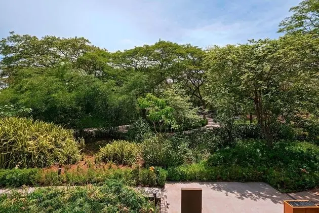 Süit, 1 En Büyük (King) Boy Yatak, Sigara İçilmez, Resort Manzaralı (Bark)