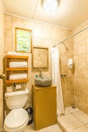 Comfort Tek Büyük Yataklı Oda, 1 Çift Kişilik Yatak