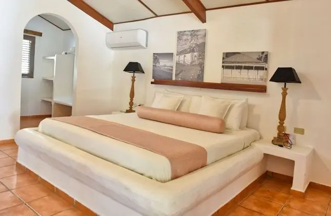Deluxe Oda, 1 Çift Kişilik Yatak