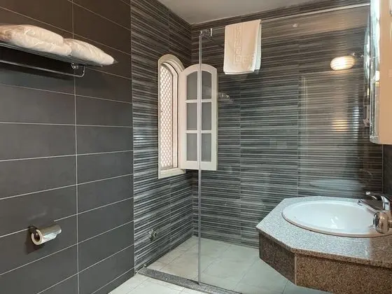 Standard Tek Büyük Yataklı Oda, 1 Çift Kişilik Yatak, Sigara İçilebilir