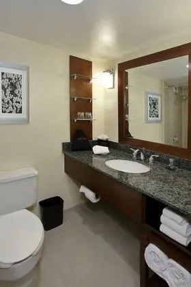 Oda, 1 En Büyük (King) Boy Yatak, Veranda, Havuz Manzaralı (Patio, Pool View)