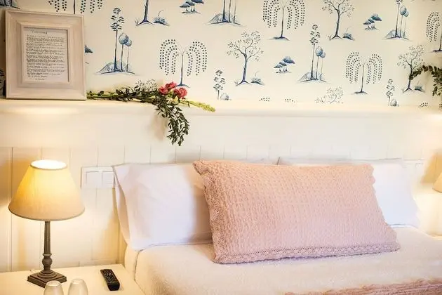 Superior Tek Büyük Yataklı Oda, 1 Büyük (Queen) Boy Yatak, Avlu Manzaralı