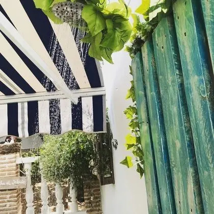 Ev, 4 Yatak Odası, Teras