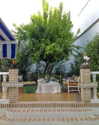 Ev, 4 Yatak Odası, Teras