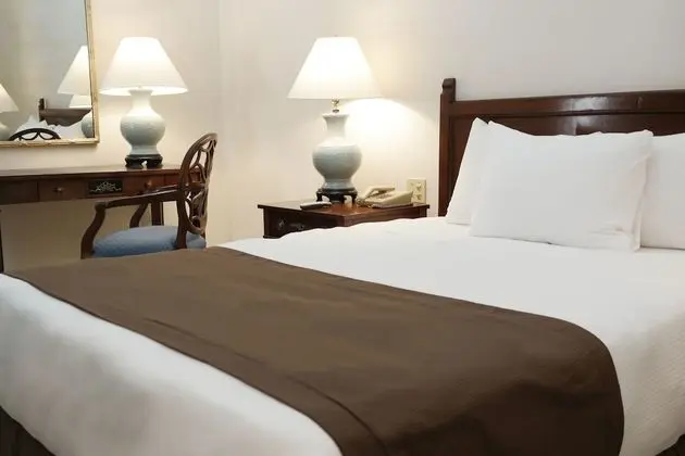 Junior Süit, 1 En Büyük (King) Boy Yatak ve Çekyat