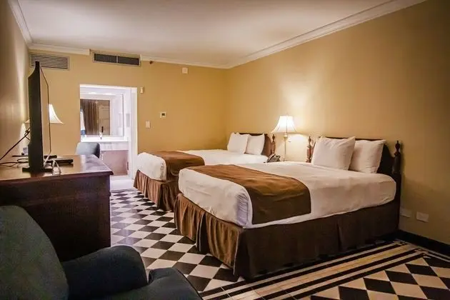 Standard Tek Büyük Yataklı Oda, 2 Büyük (Queen) Boy Yatak