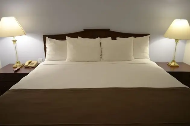 Standard Tek Büyük Yataklı Oda, 2 Büyük (Queen) Boy Yatak