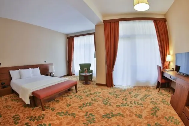 Standard Tek Kişilik Oda, Dağ Manzaralı