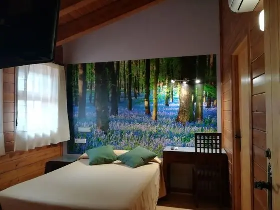 Tek Büyük veya İki Ayrı Yataklı Oda, Dağ Manzaralı