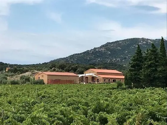 Premium Tek Büyük Yataklı Oda