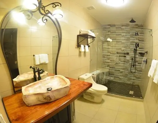 Comfort Tek Kişilik Oda, 1 En Büyük (King) Boy Yatak, Balkon, Göl Manzaralı