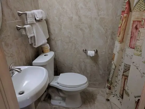 Deluxe Oda, 1 Büyük (Queen) Boy Yatak, Buzdolabı ve Mikrodalga, Zemin Kat