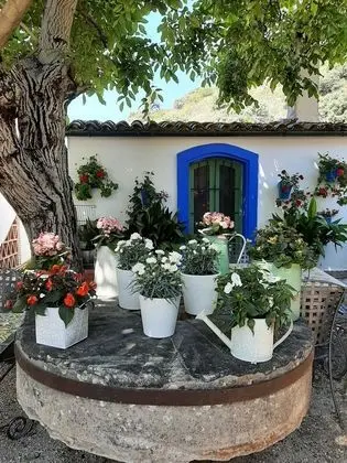 Family Ev, 2 Yatak Odası, Bahçeli (El Pajar)