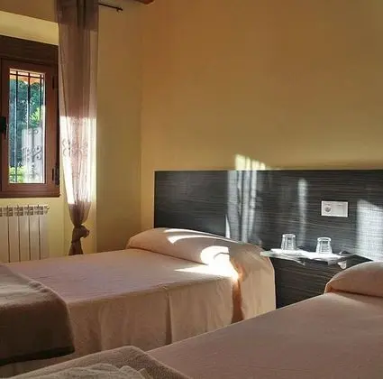 Ortak Ranzalı Oda, 1 Tek Kişilik Yatak, Ortak Banyo (Mixed)