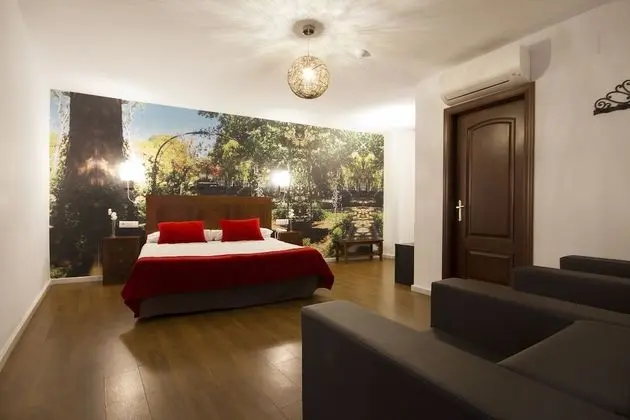 Deluxe Tek Büyük Yataklı Oda (Spa access)