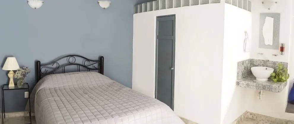 Standard Tek Büyük Yataklı Oda, 1 Çift Kişilik Yatak, Özel Banyo