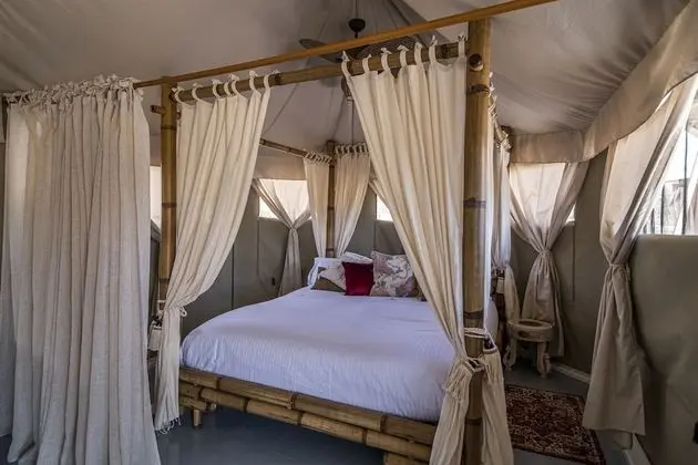 Luxury Çadır