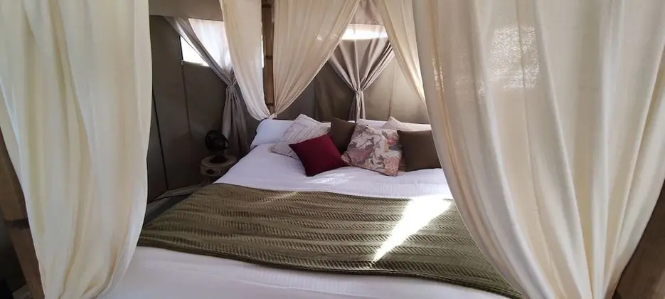 Luxury Çadır