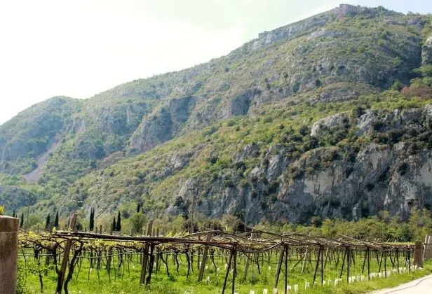 Family Dört Kişilik Oda, 1 Büyük (Queen) Boy Yatak ve Çekyat, Dağ Manzaralı